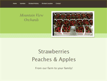 Tablet Screenshot of mountainvieworchards.com